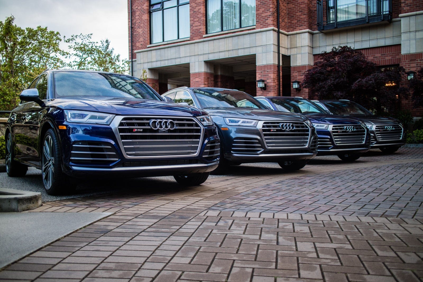 Audi SQ5 Automotive campaign visual 1